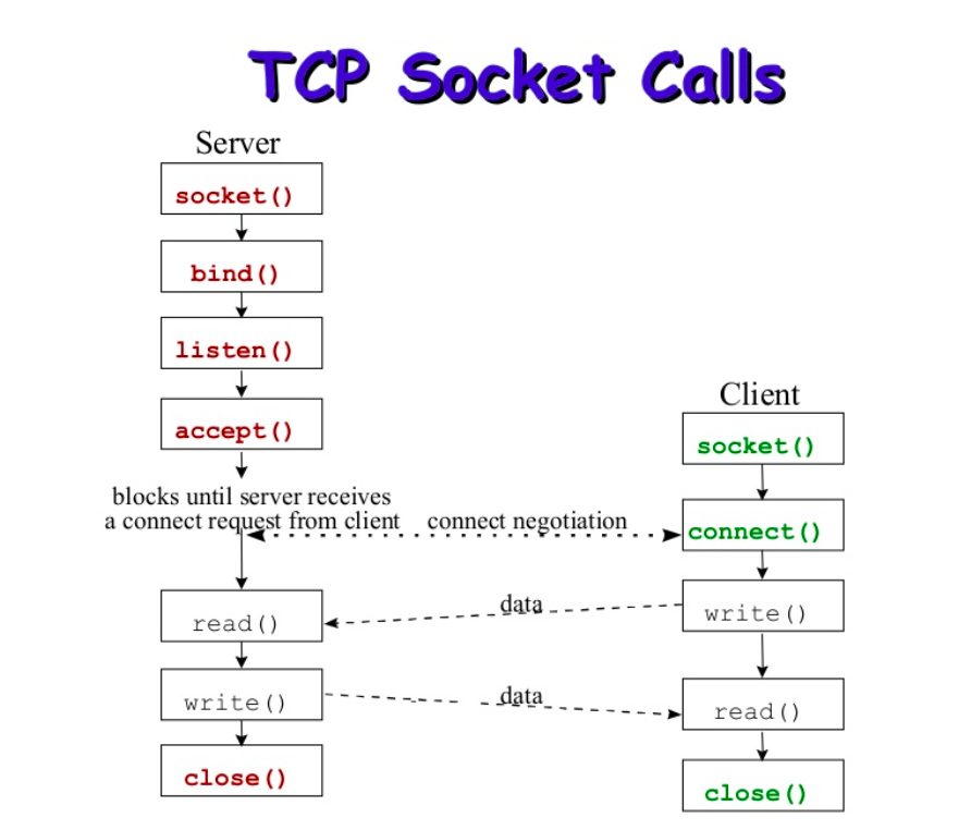 tcp-ip.png