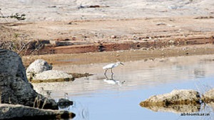 250px-Shamirpet_Lake.jpg