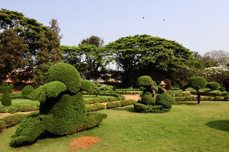 Hyderabad-Kondapur-Botonical-Garden.jpg