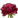 rose.png