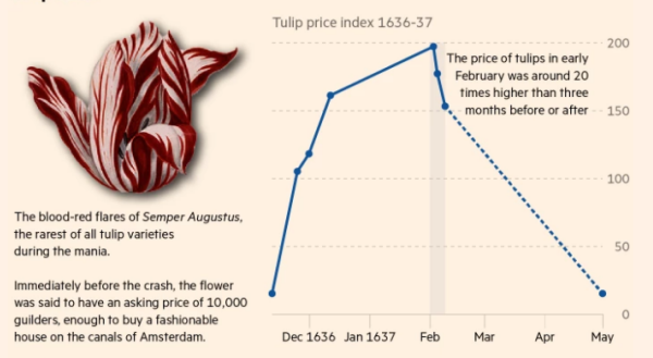 tulipmania.png