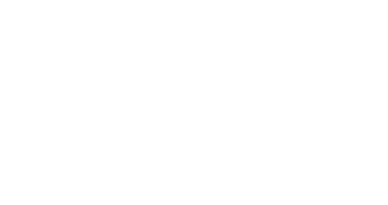 zef_logo_white.png