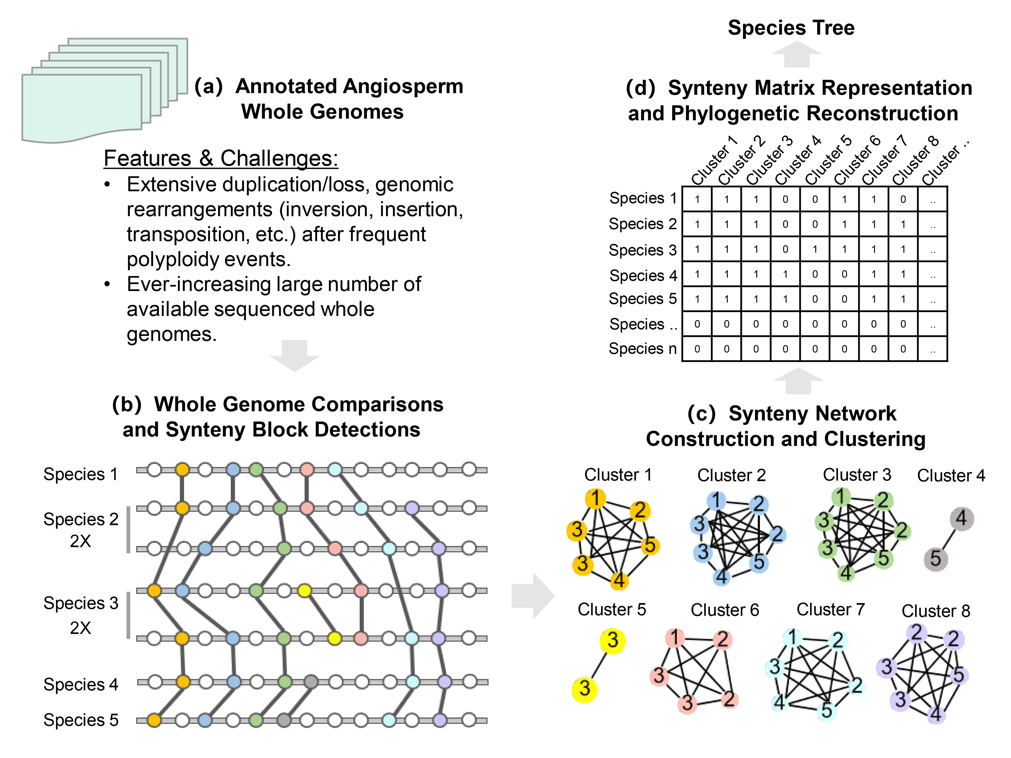 Figure-1.jpg